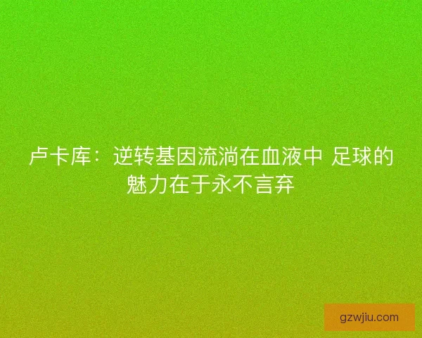 卢卡库：逆转基因流淌在血液中 足球的魅力在于永不言弃