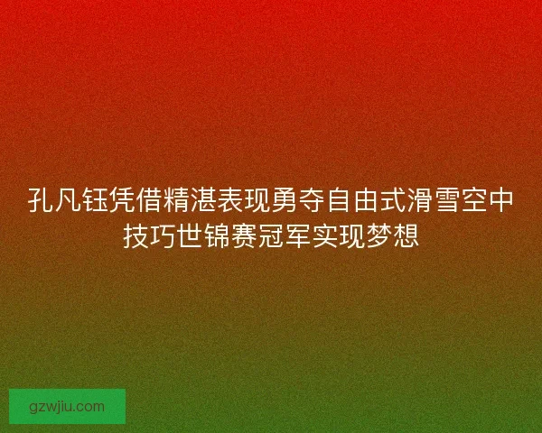 孔凡钰凭借精湛表现勇夺自由式滑雪空中技巧世锦赛冠军实现梦想