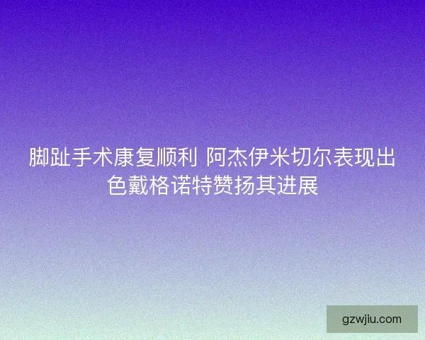 脚趾手术康复顺利 阿杰伊米切尔表现出色戴格诺特赞扬其进展 脚趾手术康复顺利 阿杰伊米切尔表现出色戴格诺特赞扬其进展