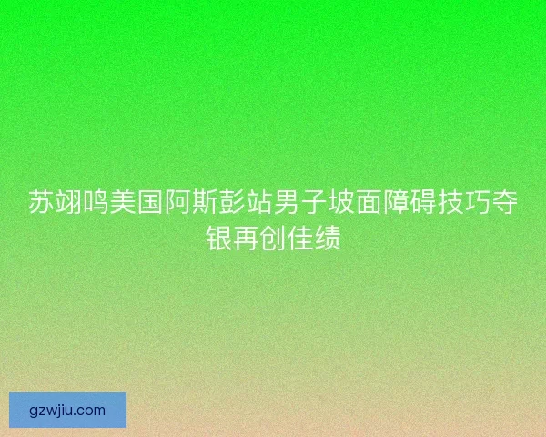 苏翊鸣美国阿斯彭站男子坡面障碍技巧夺银再创佳绩